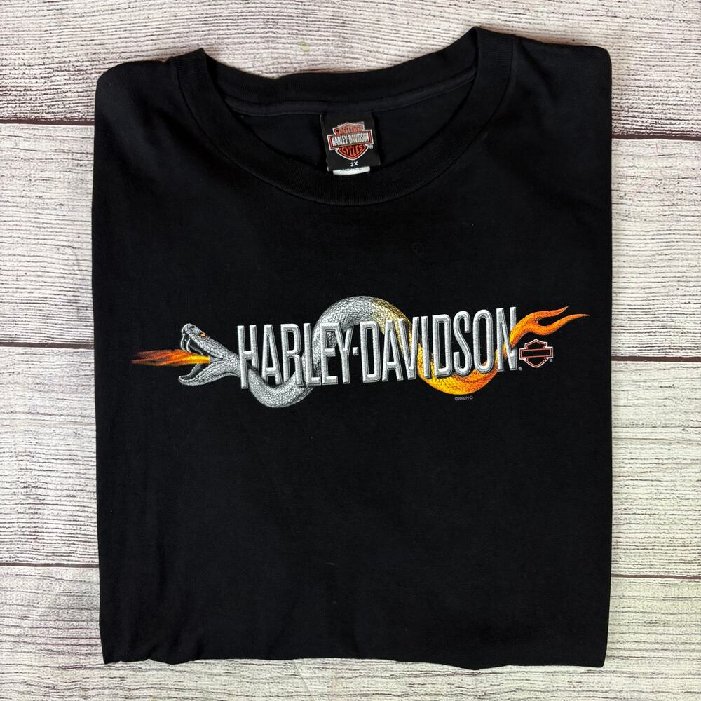 Vintage 2002 Harley Davidson Motorcycles Snake Graphic Florida T-shirt